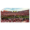 Iowa State Cyclones - Cyclones Win, Storm The Field Panoramic - College Wall Art #Wall Decal