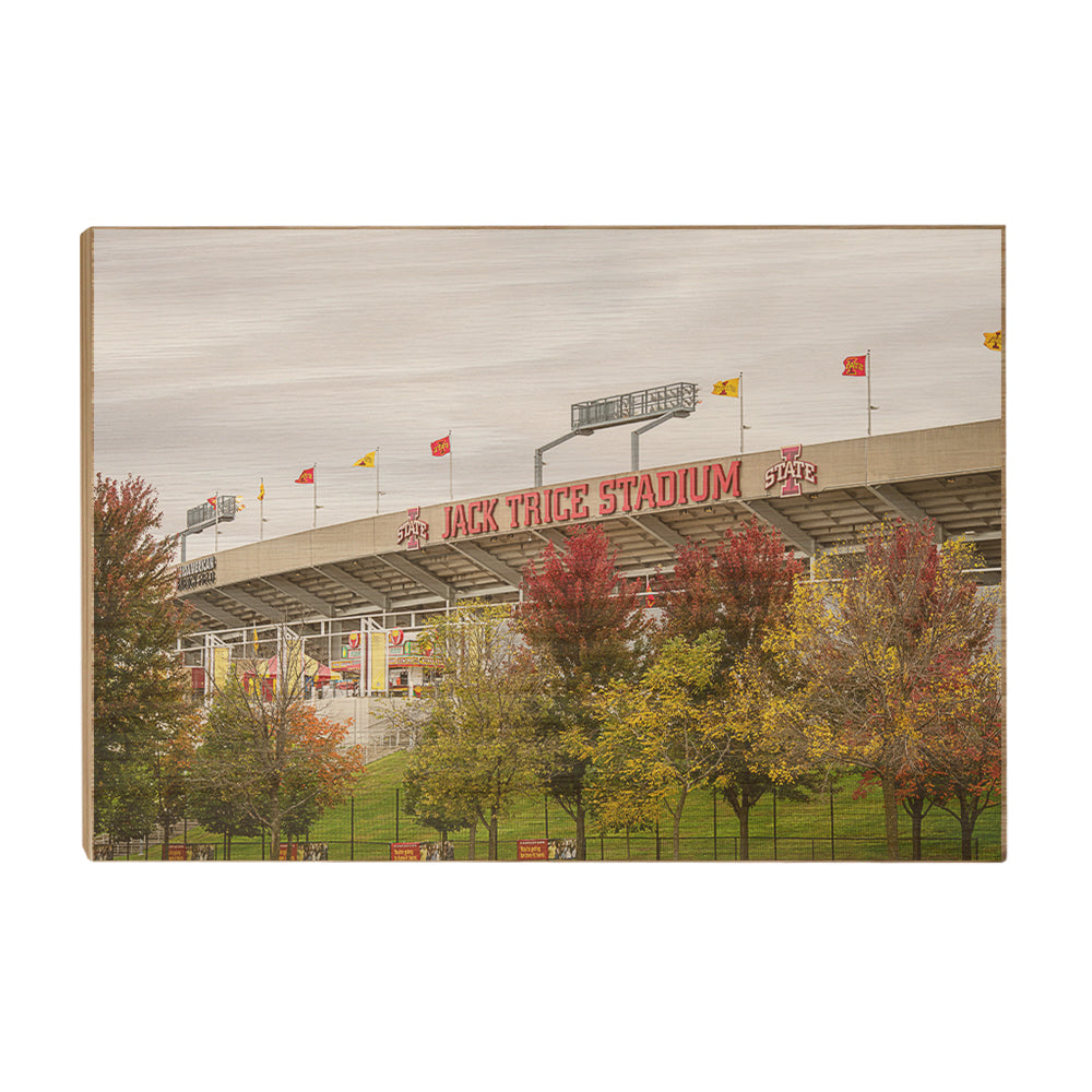 Iowa State Cyclones - Autumn Jack Trice - College Wall Art #Canvas
