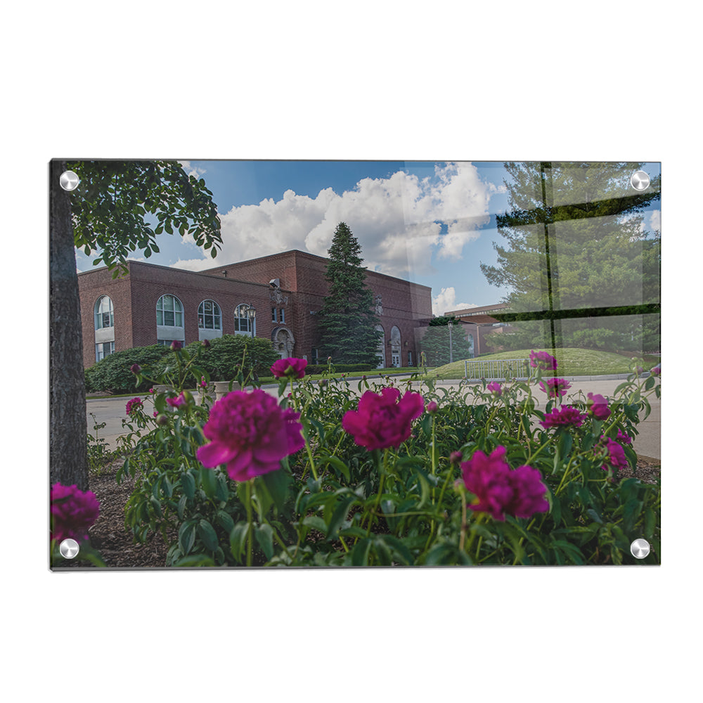 Northern Iowa Panthers - Campus Spring - College Wall Art #Canvas
