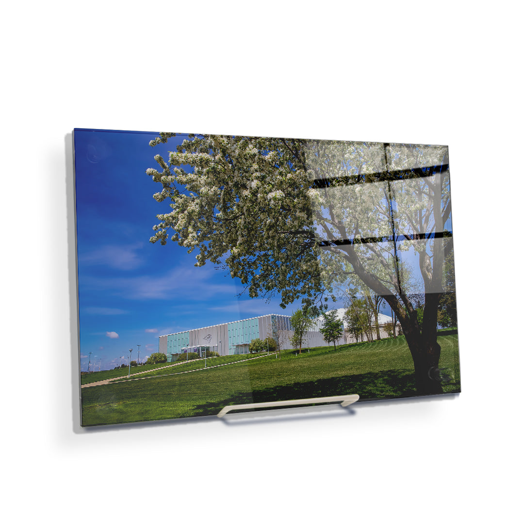 Northern Iowa Panthers - Uni Cherry Blossom - College Wall Art #Canvas