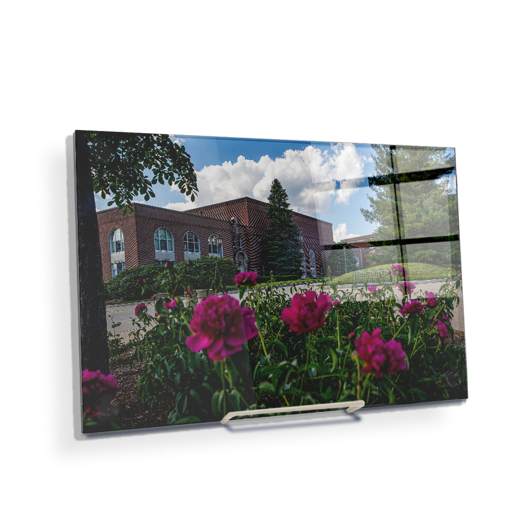 Northern Iowa Panthers - Campus Spring - College Wall Art #Canvas
