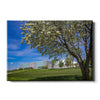 Northern Iowa Panthers - Uni Cherry Blossom - College Wall Art #Canvas