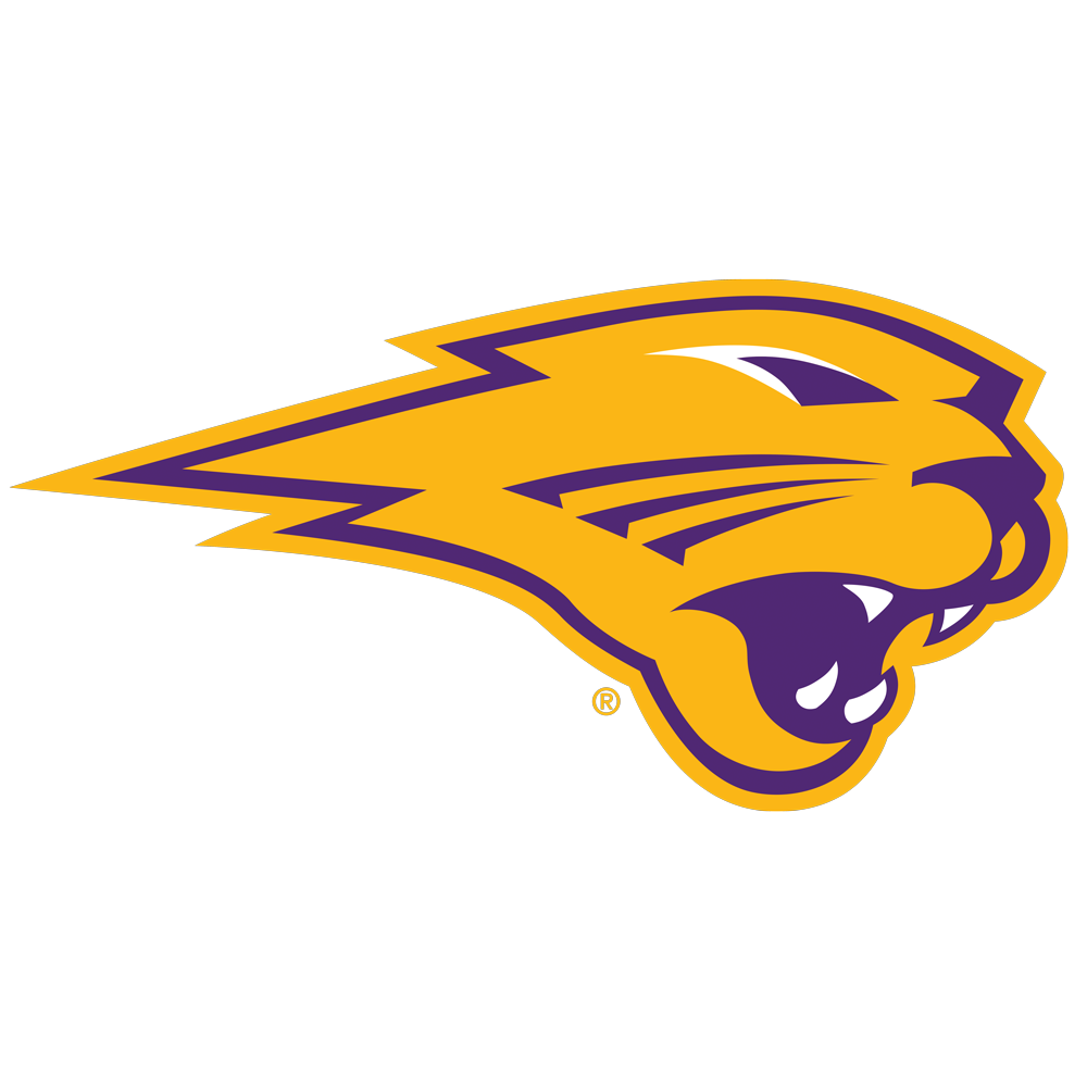 Northern Iowa Panthers - Panthers Single Layer Dimensional