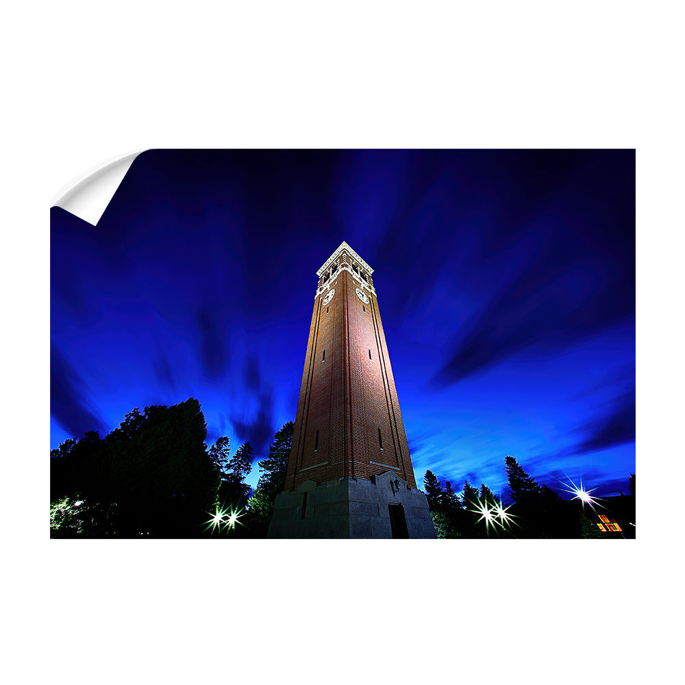 Northern Iowa Panthers - Campanile Sky - College Wall Art  #Canvas