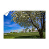 Northern Iowa Panthers - Uni Cherry Blossom - College Wall Art #Wall Decal