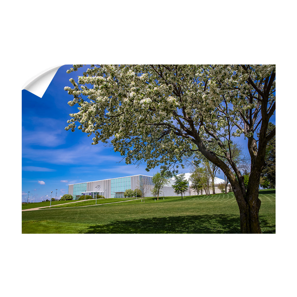 Northern Iowa Panthers - Uni Cherry Blossom - College Wall Art #Canvas
