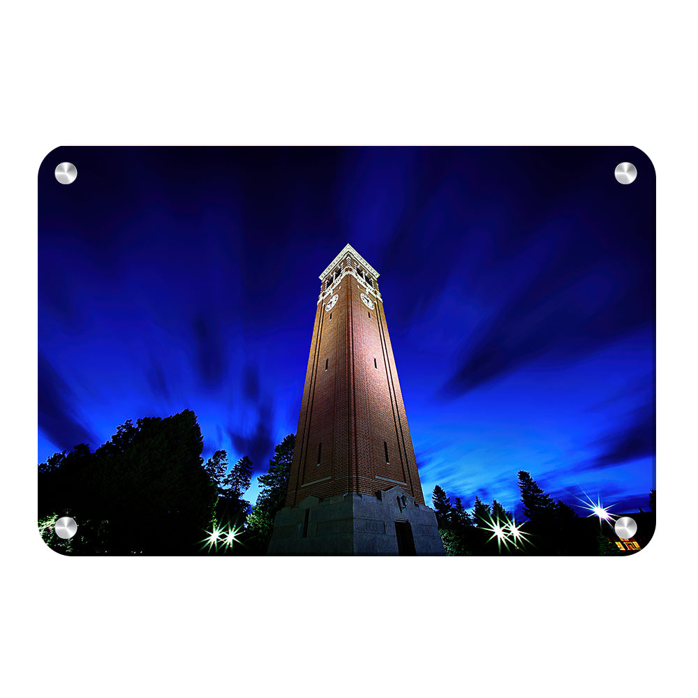 Northern Iowa Panthers - Campanile Sky - College Wall Art  #Canvas