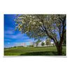 Northern Iowa Panthers - Uni Cherry Blossom - College Wall Art #Poster
