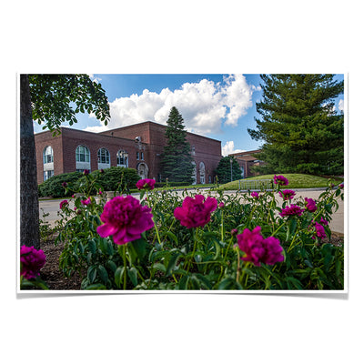 Northern Iowa Panthers - Campus Spring - College Wall Art #Poster