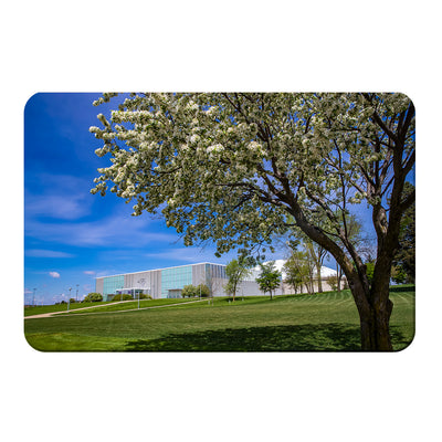 Northern Iowa Panthers - Uni Cherry Blossom - College Wall Art #PVC