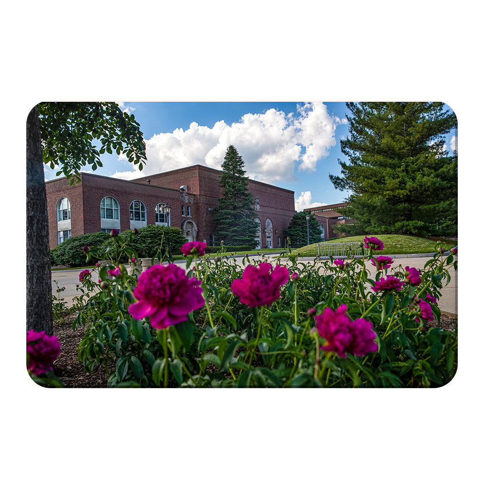 Northern Iowa Panthers - Campus Spring - College Wall Art #Canvas