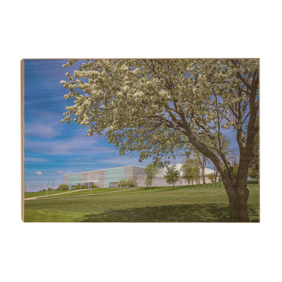 Northern Iowa Panthers - Uni Cherry Blossom - College Wall Art #Wood