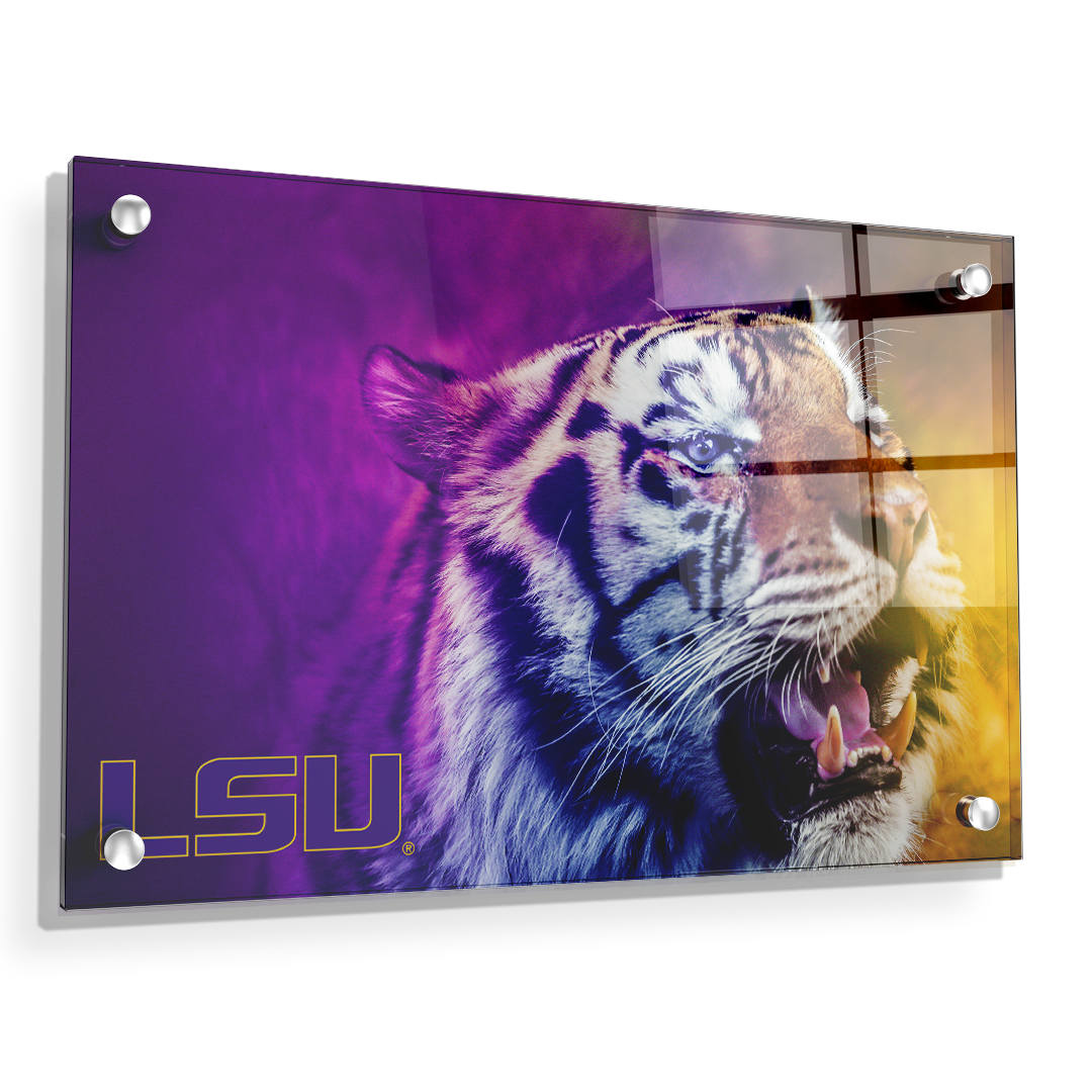 LSU Tigers - Mike's Colors - College Wall Art #Canvas