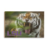 LSU Tigers - Mike the Tiger - College Wall Art #Wood