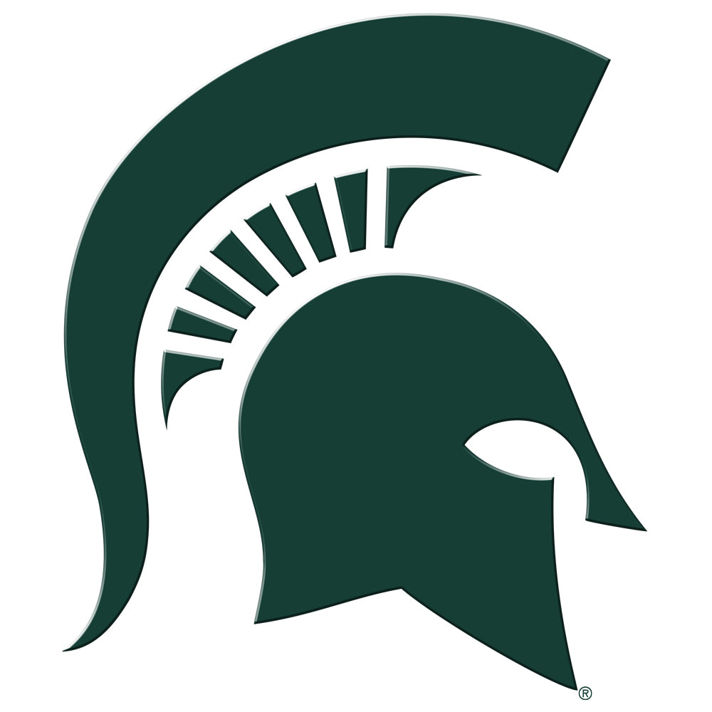 Michigan State Spartans 18'' x 14'' Logo Slimline Illuminated Wall Sign