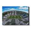 Michigan State - Fish Eye Stripe Out - College Wall Art #Canvas