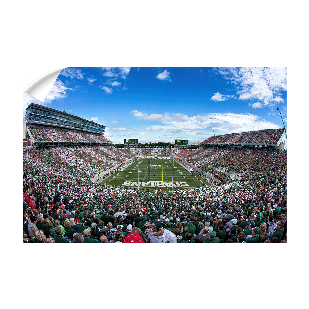 Michigan State - Michigan State Stripe Out - College Wall Art #Canvas