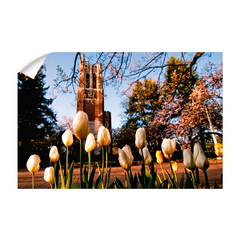 Michigan State - Spring - College Wall Art #Canvas