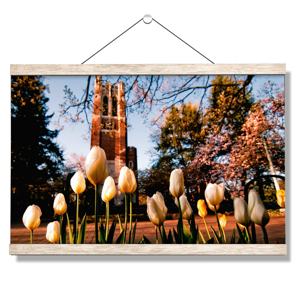 Michigan State - Spring - College Wall Art #Canvas