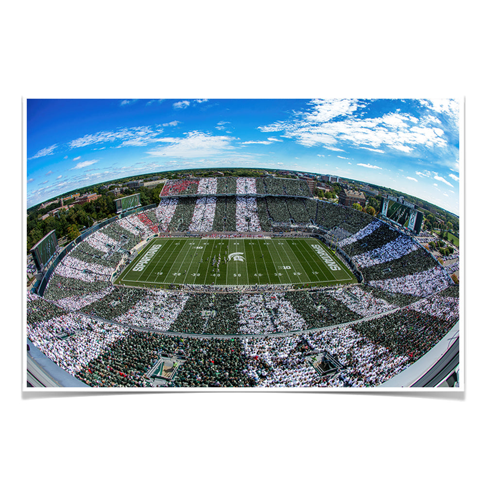 Michigan State - Fish Eye Stripe Out - College Wall Art #Canvas