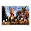 Michigan State - Spring - College Wall Art #Poster