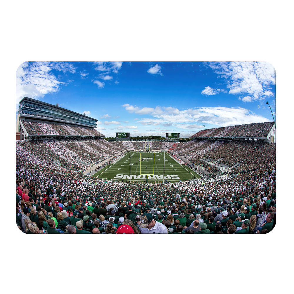 Michigan State - Michigan State Stripe Out - College Wall Art #Canvas