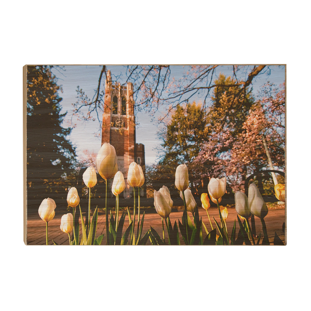 Michigan State - Spring - College Wall Art #Canvas