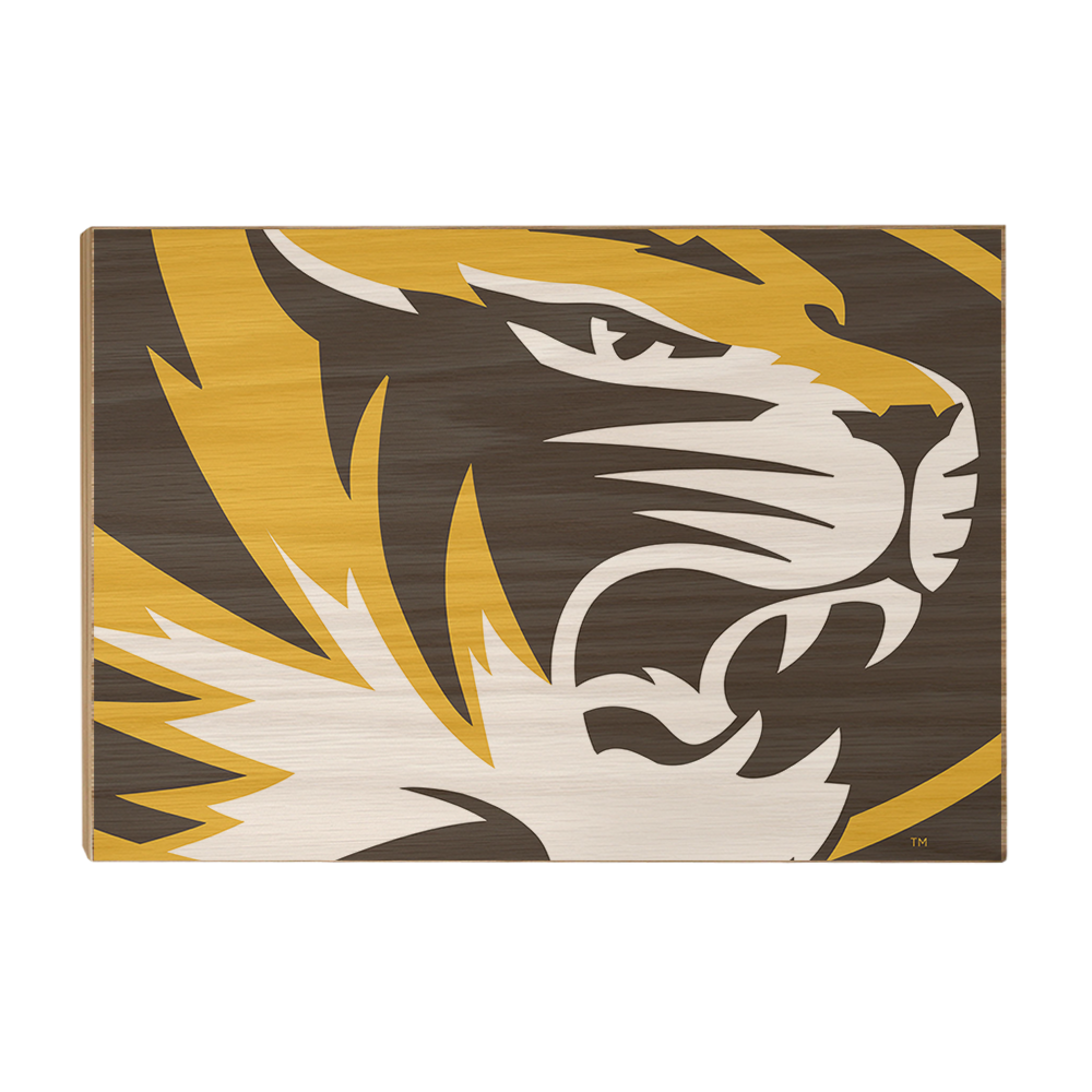 Missouri Tigers - Mizzou Tiger - College Wall Art #Canvas