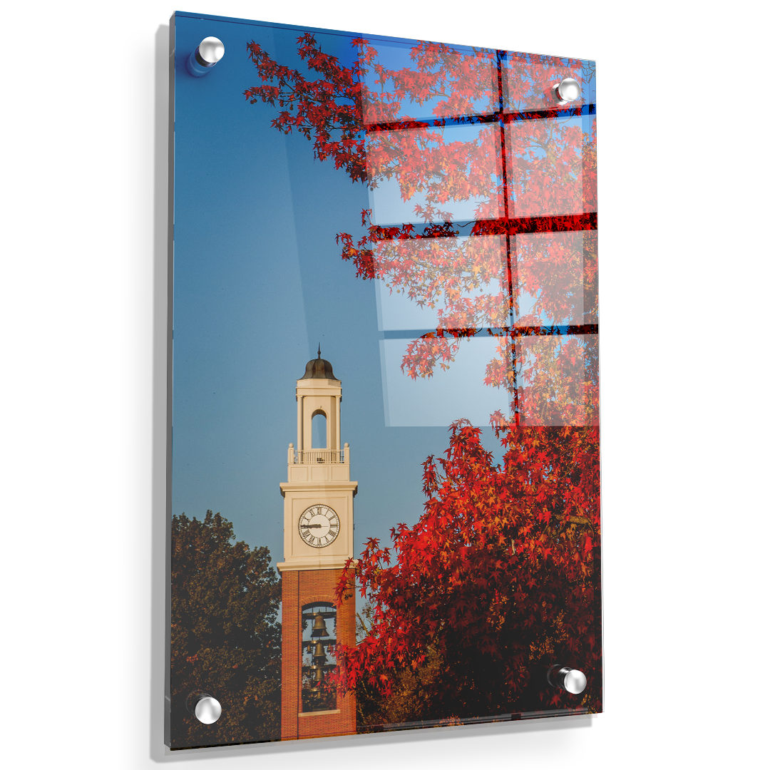 Miami RedHawks<sub>&reg;</sub> - Pulley Tower Blaze - College Wall Art#Canvas