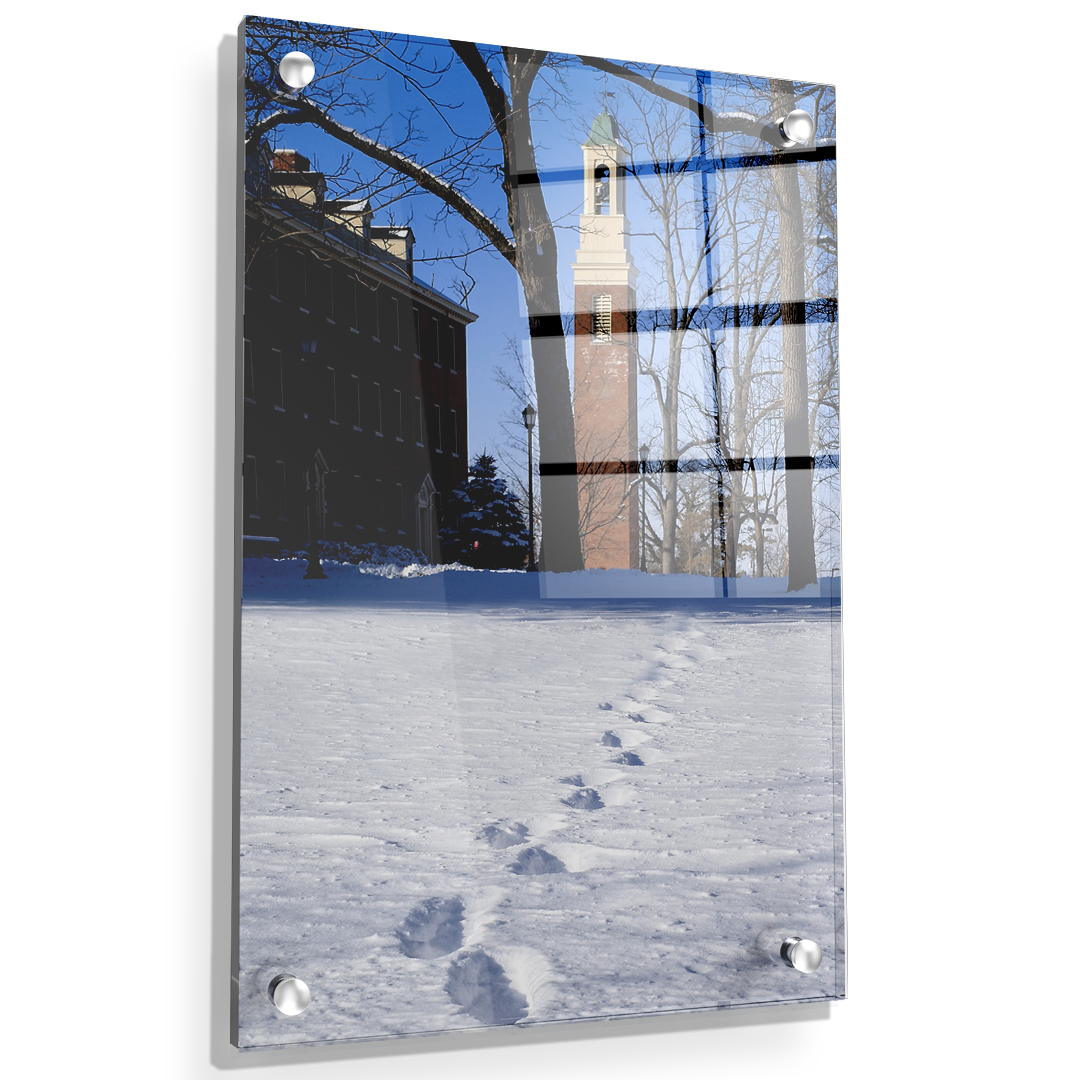 Miami RedHawks<sub>&reg;</sub> - Bela Winter Tracks - College Wall Art#Canvas