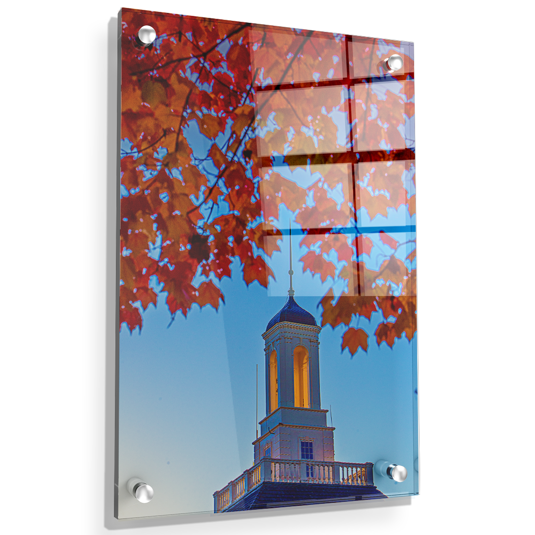 Miami RedHawks<sub>&reg;</sub> - Autumn Light - College Wall Art#Canvas