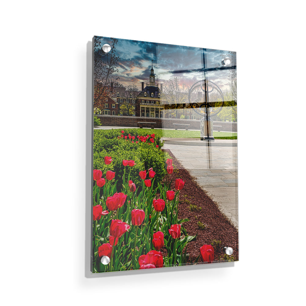 Miami RedHawks - MacCrackin Sunset - College Wall Art #Canvas