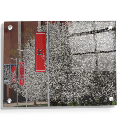 Miami RedHawks<sub>&reg;</sub> - Miami Cherry Blossoms - College Wall Art #Acrylic