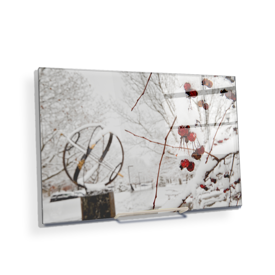 Miami RedHawks<sub>&reg;</sub> - Winter Crab Apples - College Wall Art#Canvas