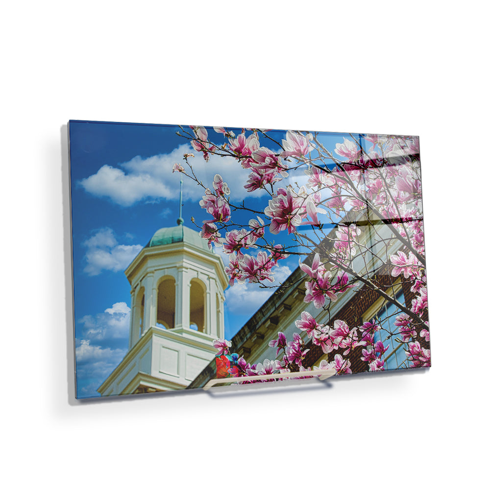 Miami RedHawks<sub>&reg;</sub> - Miami U Spring - College Wall Art #Canvas