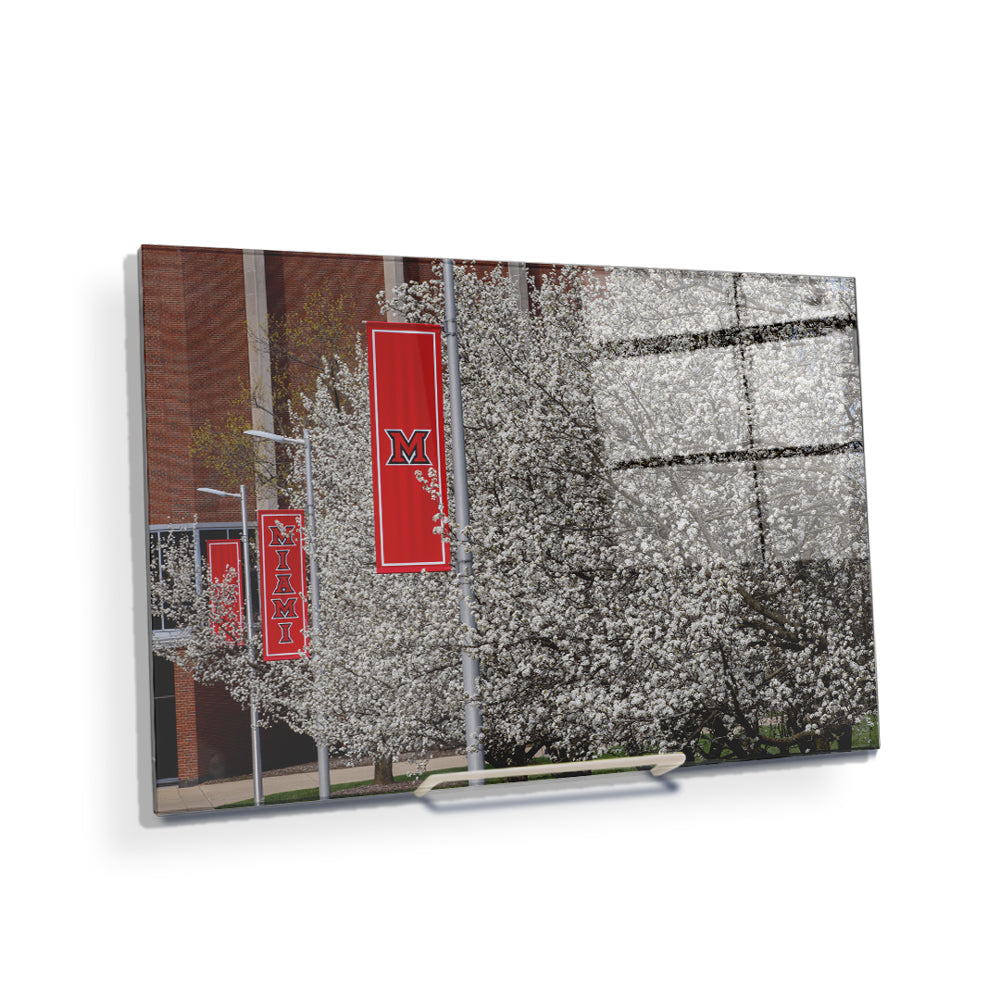 Miami RedHawks<sub>&reg;</sub> - Miami Cherry Blossoms - College Wall Art #Canvas