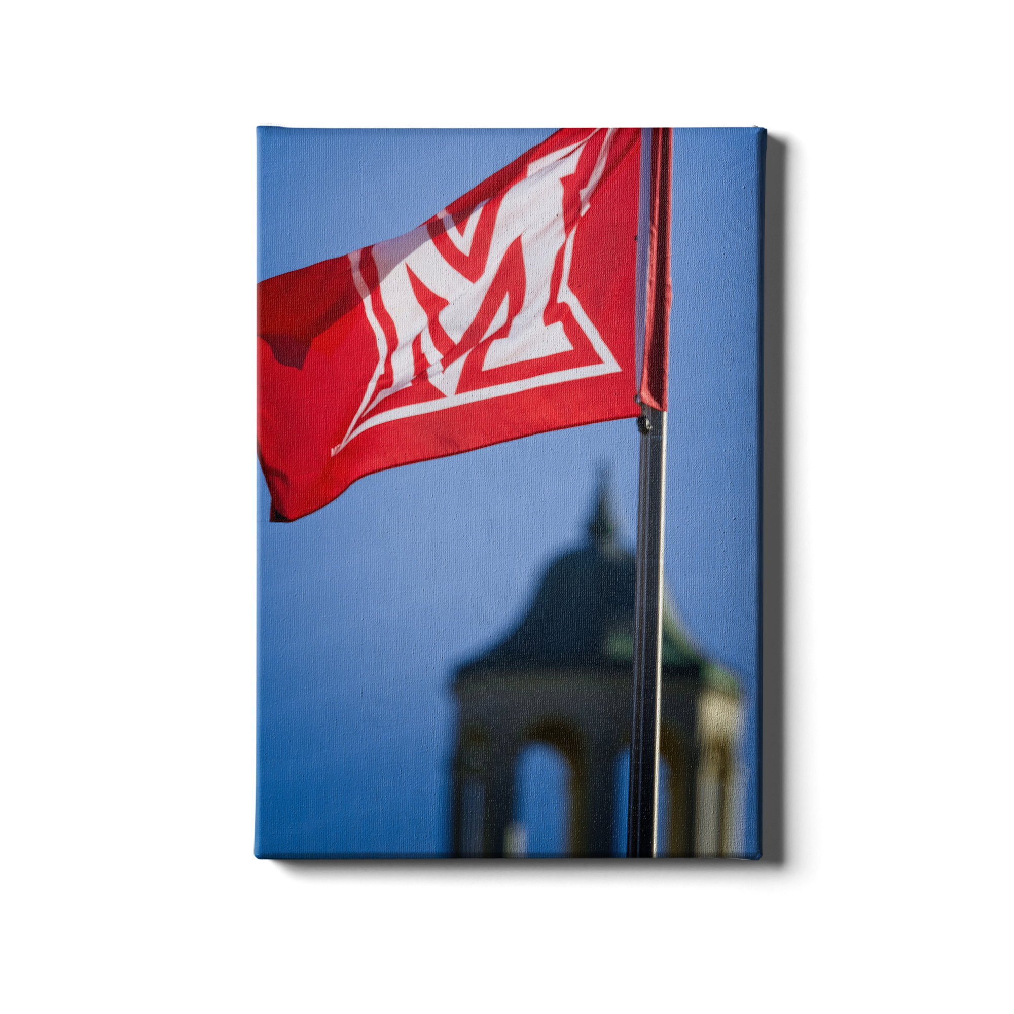 College Flags & Banners Co. Bandera De Jardín Howard Bison | Meses sin interés College Flags & Banners Co. Bandera De Jardín Howard Bison | Meses sin interés