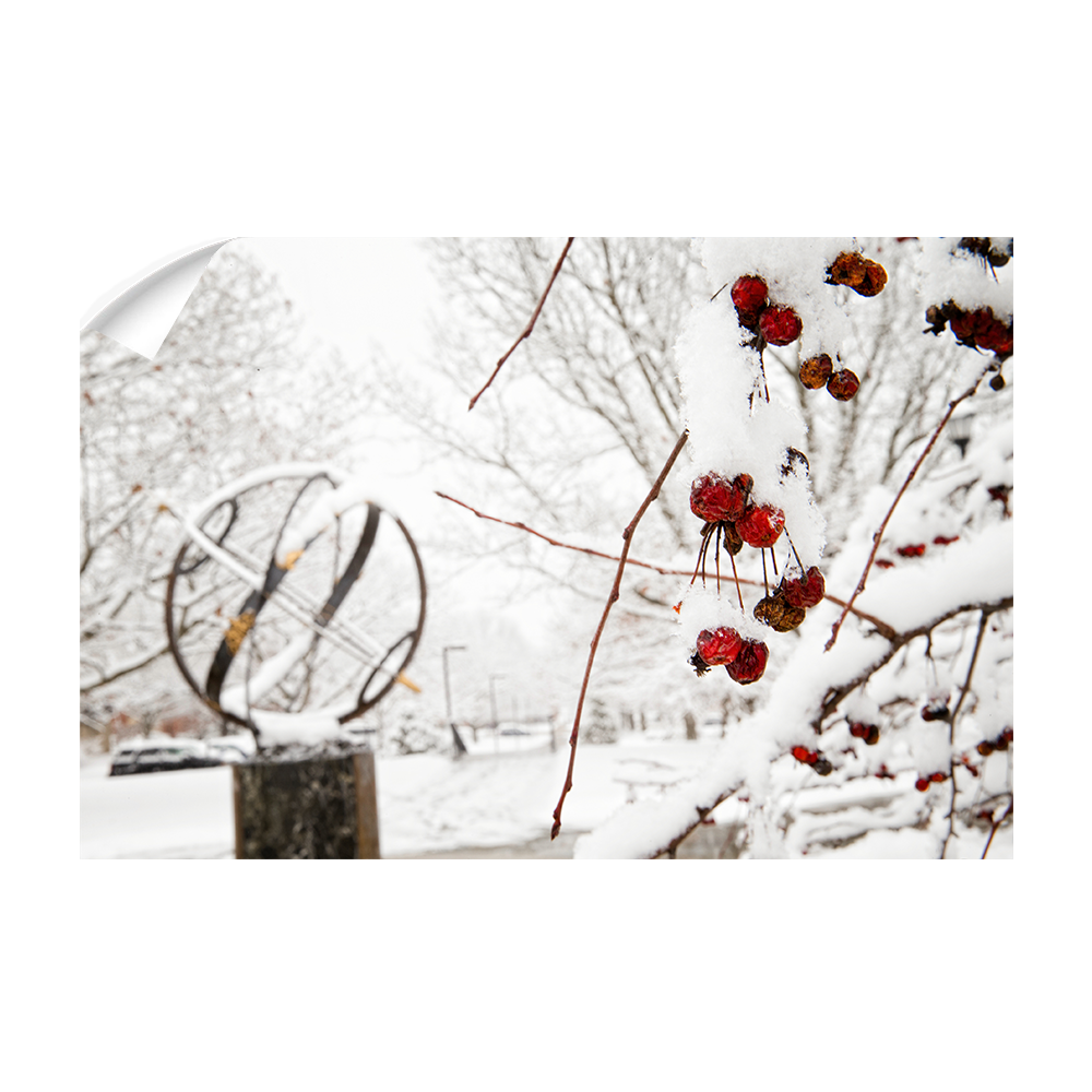 Miami RedHawks<sub>&reg;</sub> - Winter Crab Apples - College Wall Art#Canvas