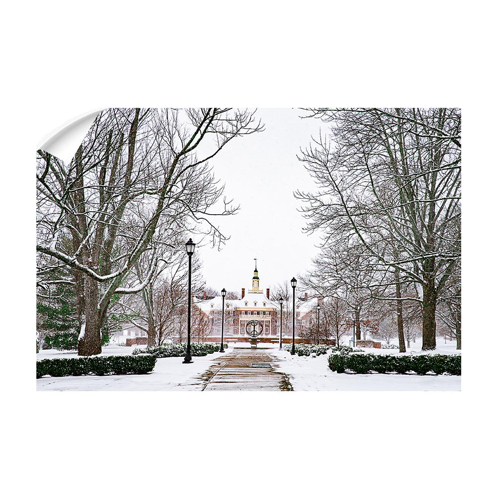 Miami RedHawks<sub>&reg;</sub> - MacCracken Dusting - College Wall Art#Canvas