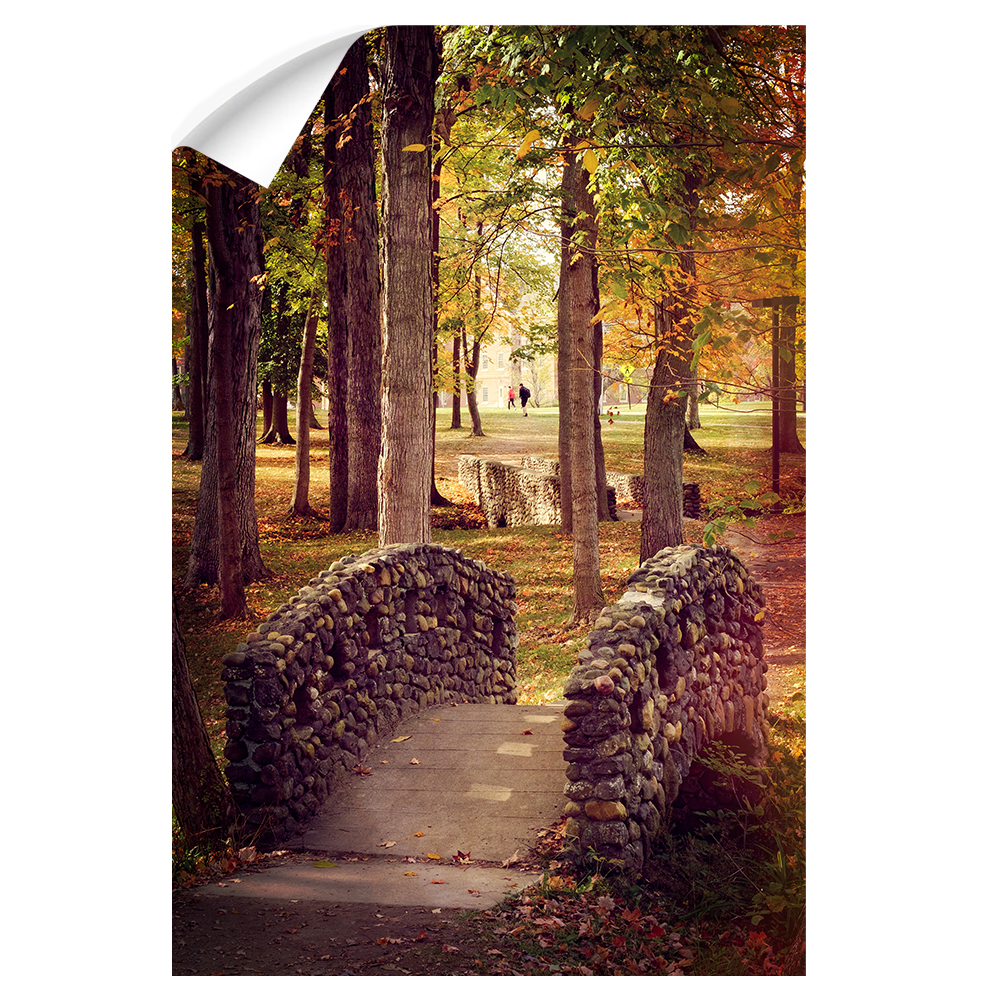 Miami RedHawks<sub>&reg;</sub>  - Autumn Western Bridges - College Wall Art#Canvas