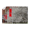 Miami RedHawks<sub>&reg;</sub> - Miami Cherry Blossoms - College Wall Art #Wall Decal