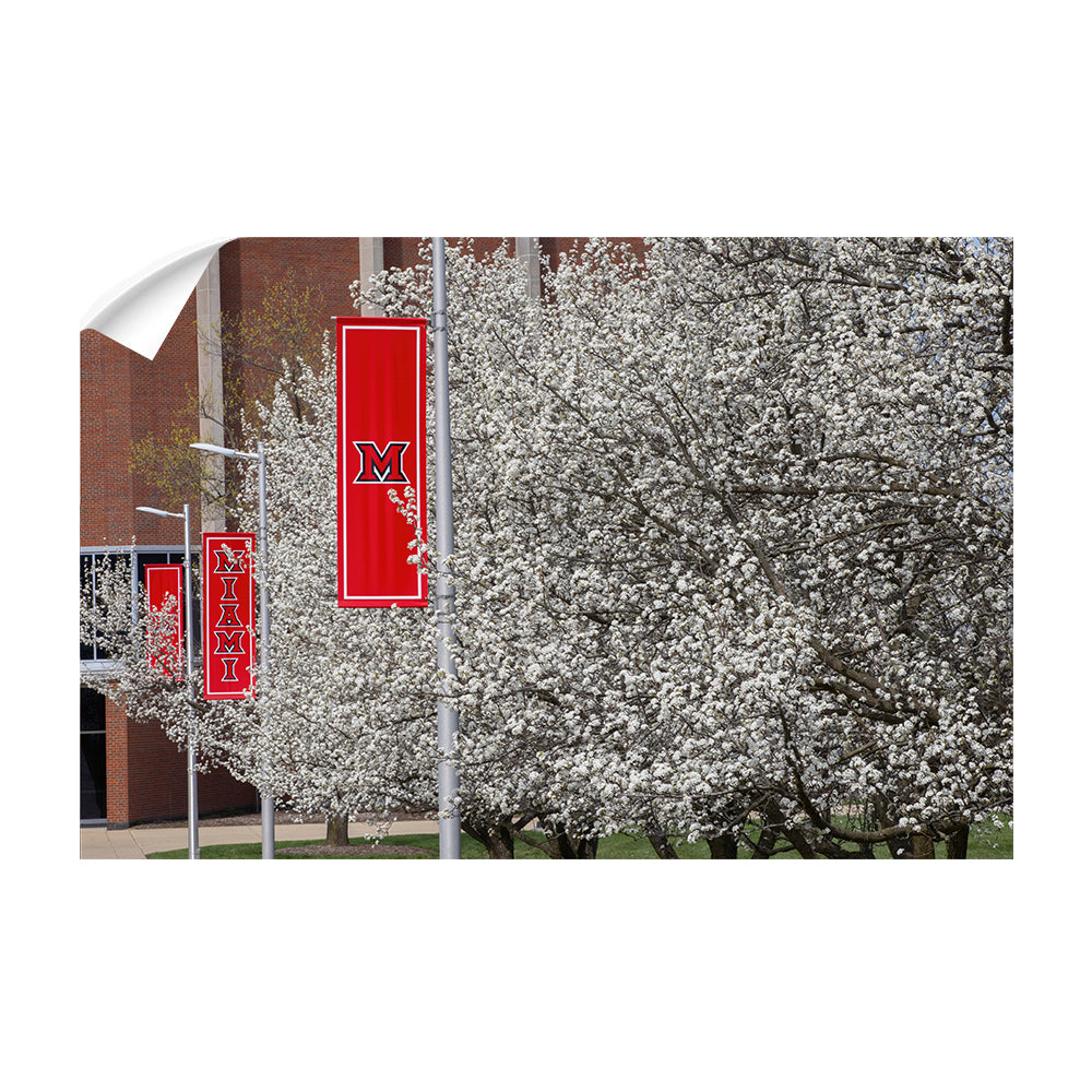 Miami RedHawks<sub>&reg;</sub> - Miami Cherry Blossoms - College Wall Art #Canvas