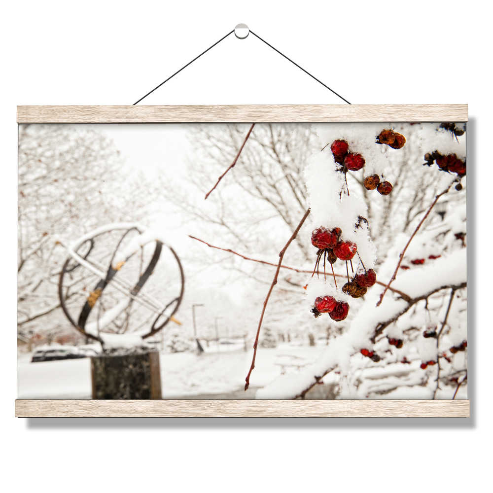 Miami RedHawks<sub>&reg;</sub> - Winter Crab Apples - College Wall Art#Canvas
