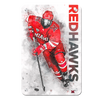 Miami RedHawks<sub>&reg;</sub> - RedHawks<sub>&reg;</sub> Hockey - College Wall Art#Metal