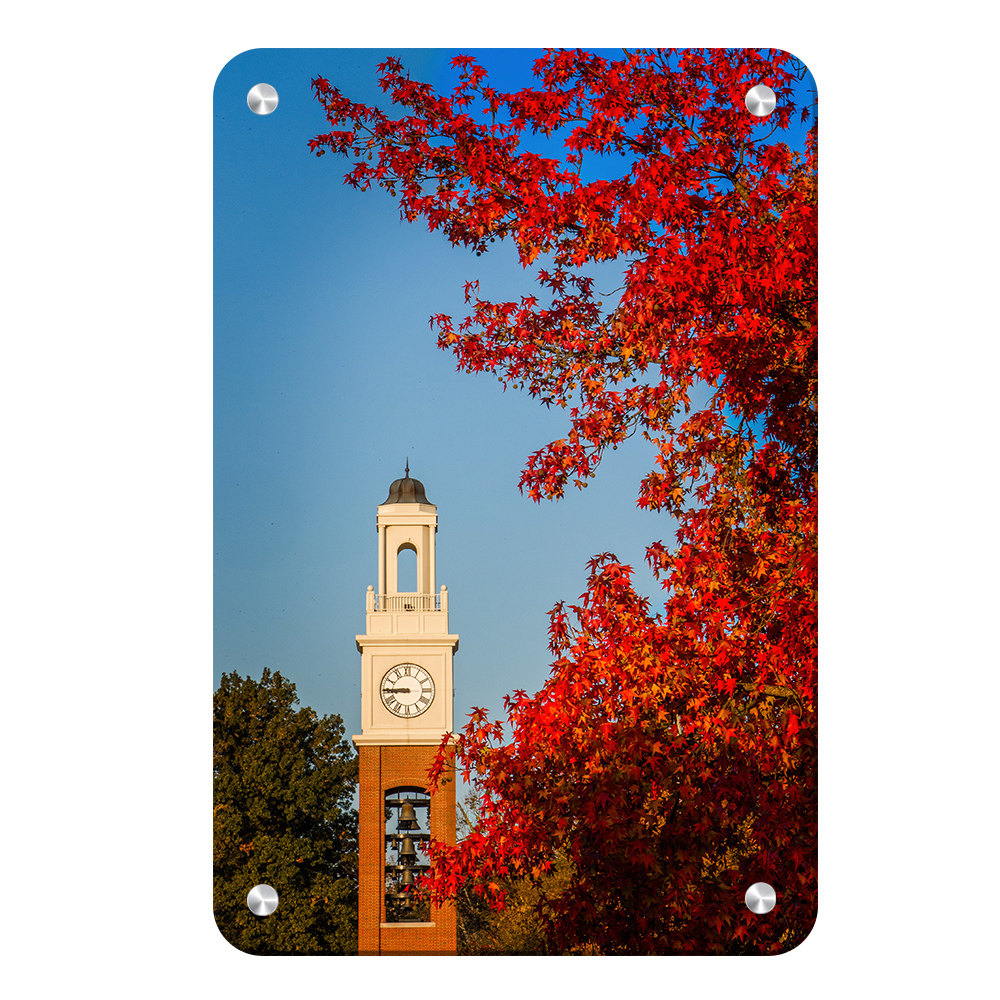 Miami RedHawks<sub>&reg;</sub> - Pulley Tower Blaze - College Wall Art#Canvas