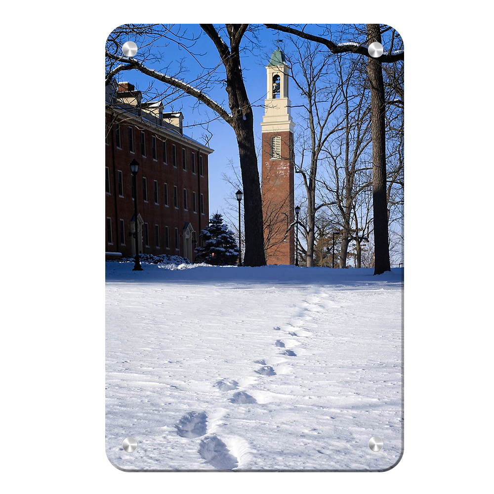 Miami RedHawks<sub>&reg;</sub> - Bela Winter Tracks - College Wall Art#Canvas