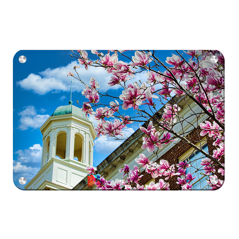Miami RedHawks<sub>&reg;</sub> - Miami U Spring - College Wall Art #Canvas