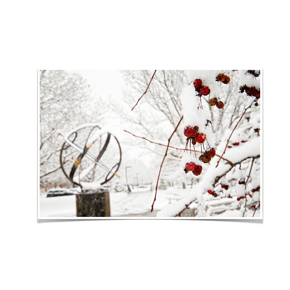 Miami RedHawks<sub>&reg;</sub> - Winter Crab Apples - College Wall Art#Canvas