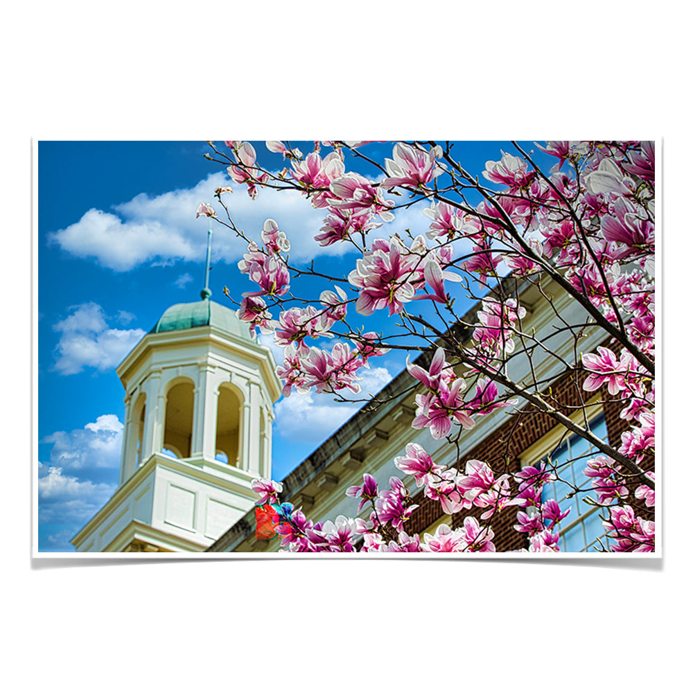 Miami RedHawks<sub>&reg;</sub> - Miami U Spring - College Wall Art #Canvas