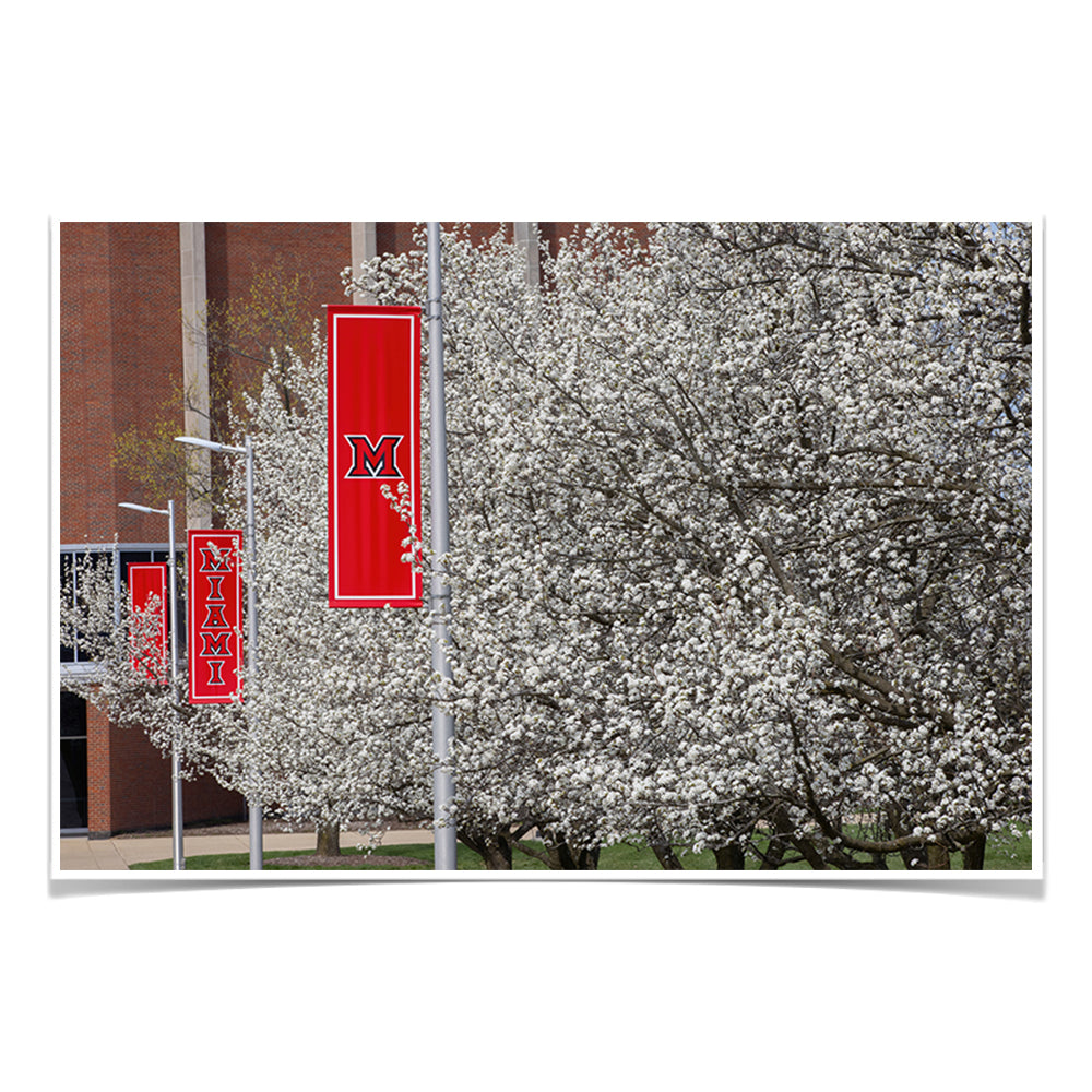 Miami RedHawks<sub>&reg;</sub> - Miami Cherry Blossoms - College Wall Art #Canvas